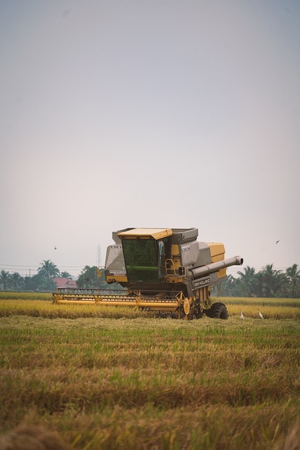 Odszkodowania Tomasz Rakowski Wypadek przy pracy, wypadek komunikacyjny renta zadośćuczynienie 